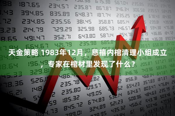 天金策略 1983年12月，慈禧内棺清理小组成立，专家在棺材里发现了什么？