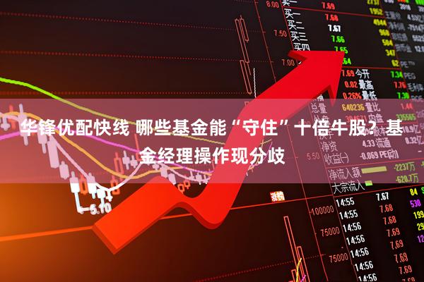 华锋优配快线 哪些基金能“守住”十倍牛股？基金经理操作现分歧